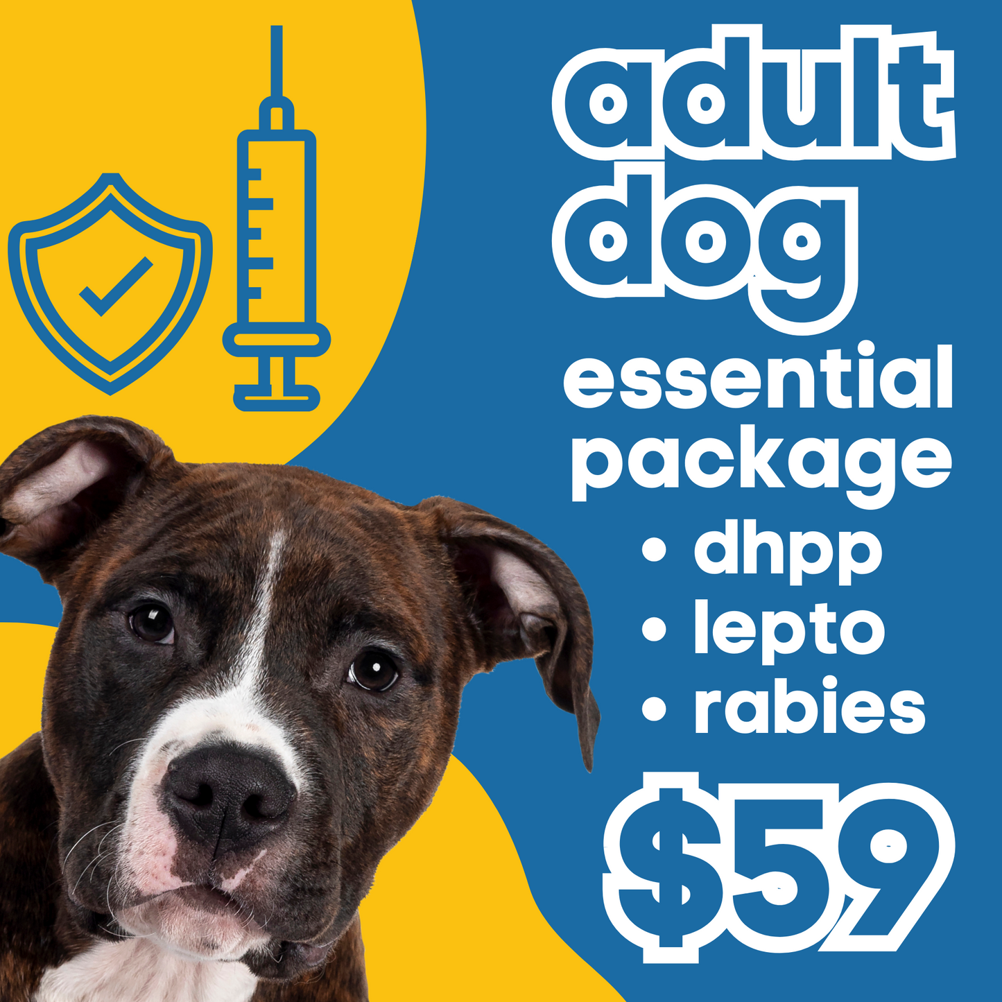 Adult Dog | Essential Annual Package