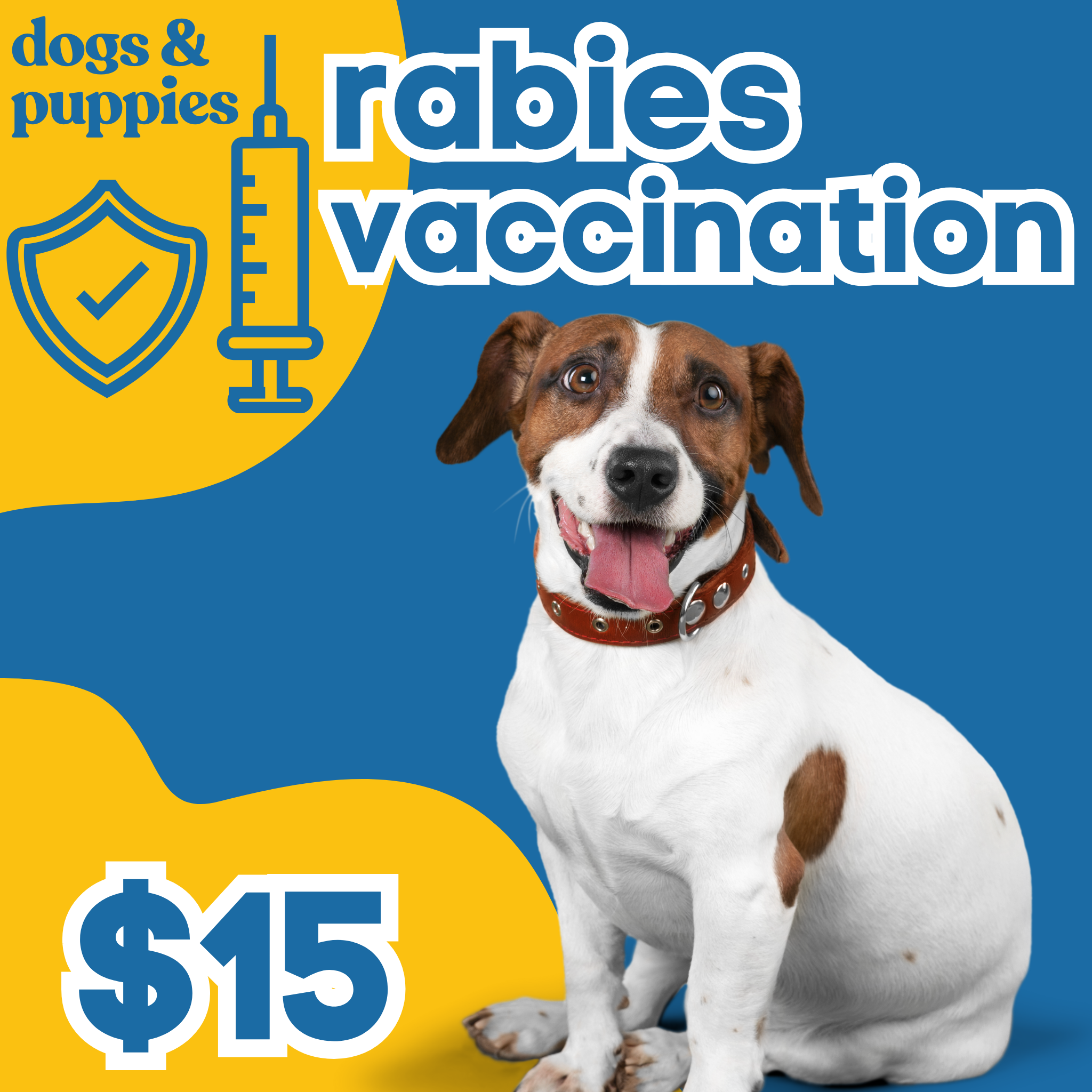 Rabies Vaccination 1 Year Dogs pop up pet vax