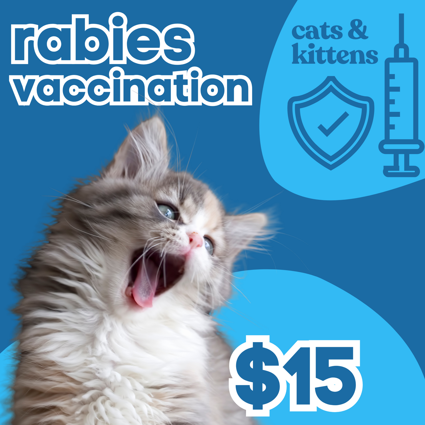 Rabies Vaccination | Cat