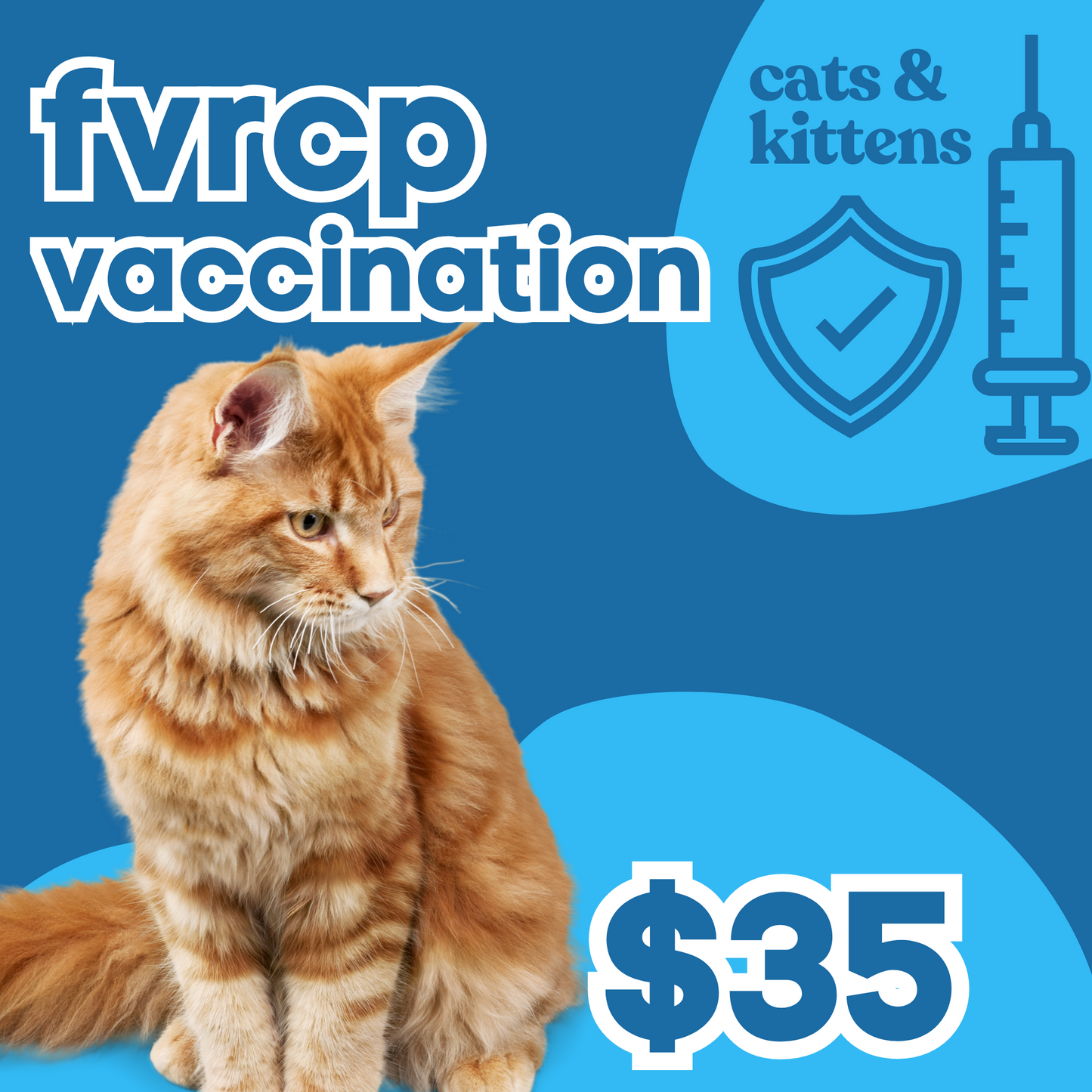 FVRCP (Distemper) Vaccination | Cats