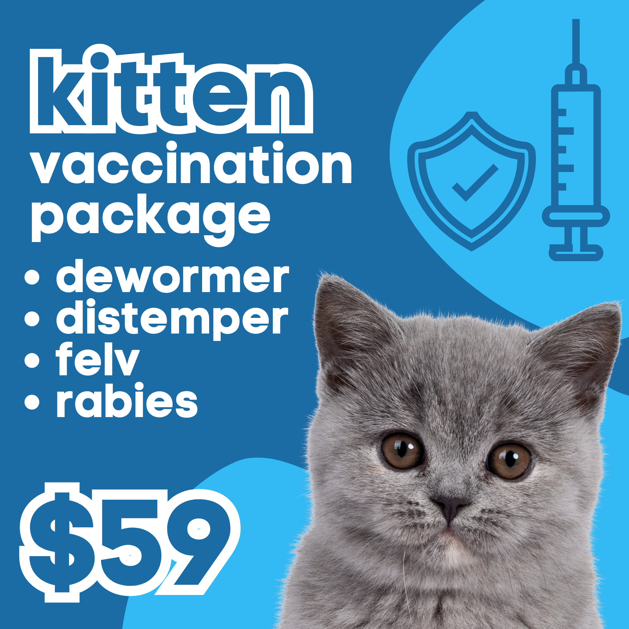 Kitten Vaccination Packages pop up pet vax