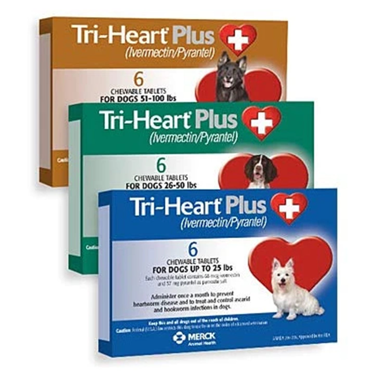 Triheart Chewable 1 Month Heartworm Protection | Dogs