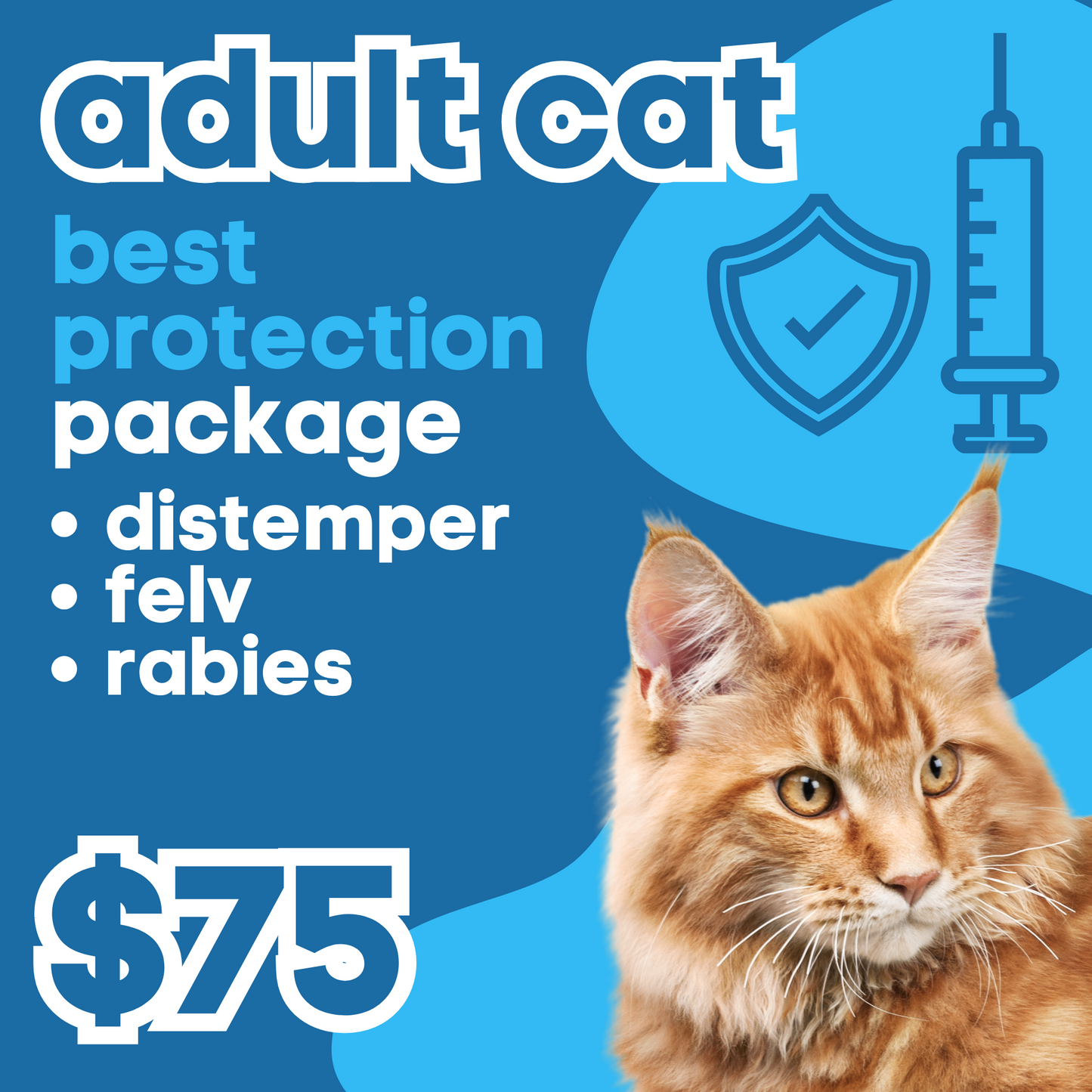 Adult Cat | Best Protection Annual Package