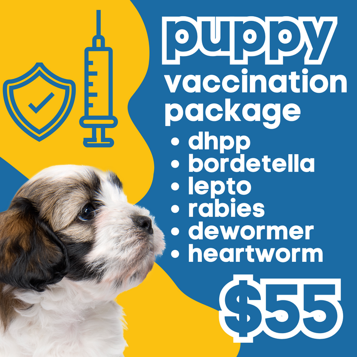 PopUp Pet Vax Affordable Pet Vaccinations popup pet vax