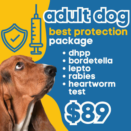 Adult Dog | Best Protection Annual Package