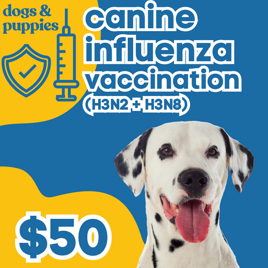 Canine Influenza Vaccination (H3N2 + H3N8) | Dogs