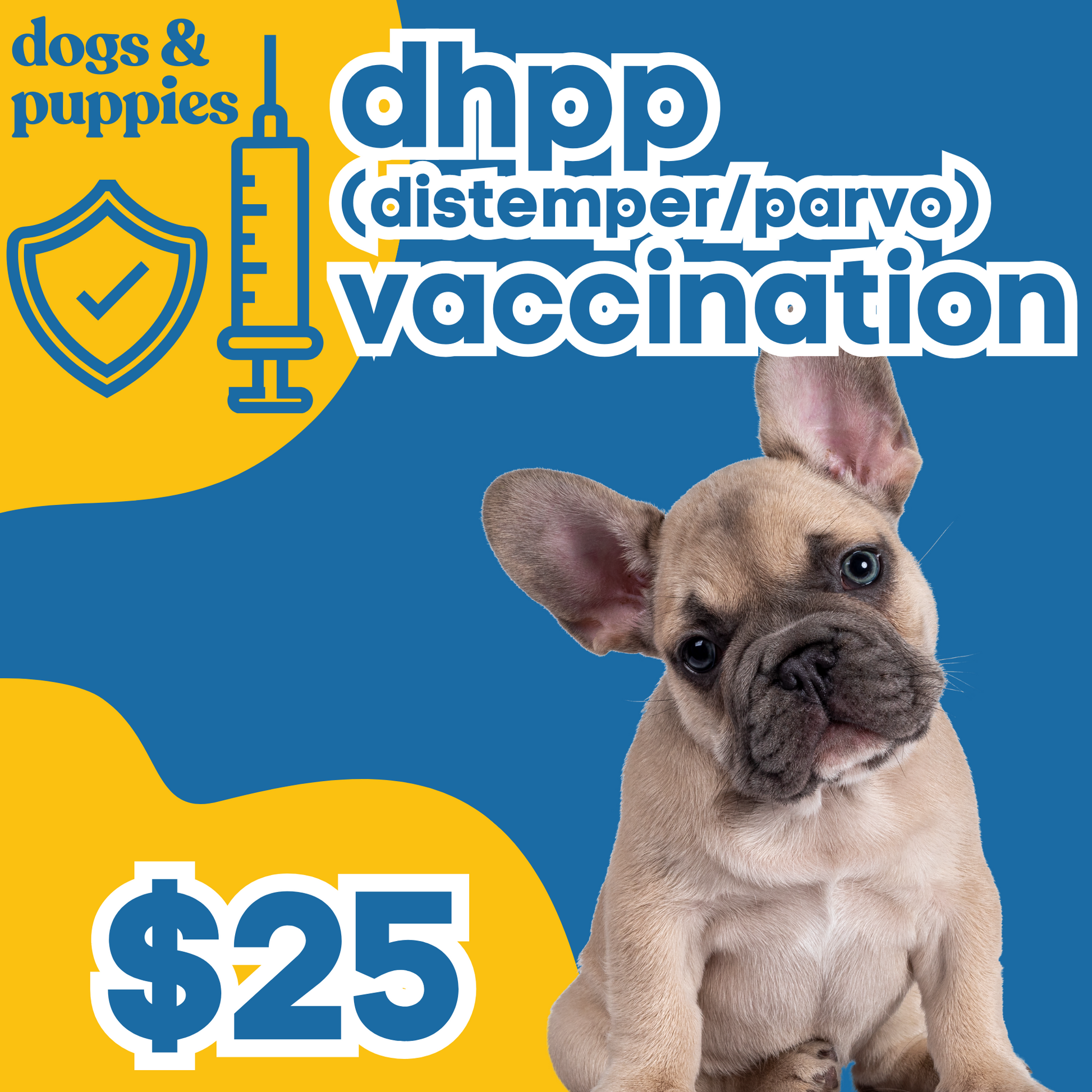 Dhpp vaccine best sale for sale