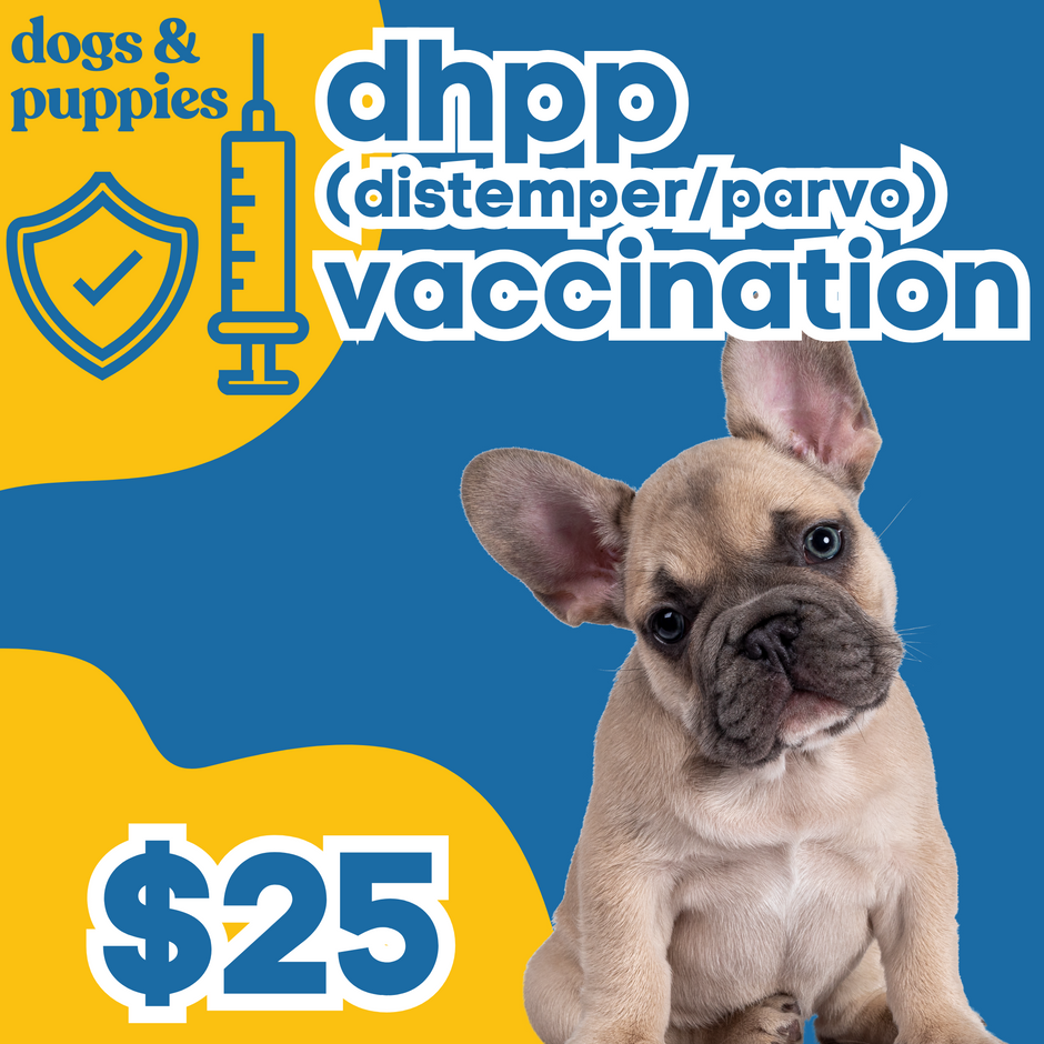 Dog Vaccination Packages Pop up Pet Vax dog-vaccination-packages-pop-up-pet-vax