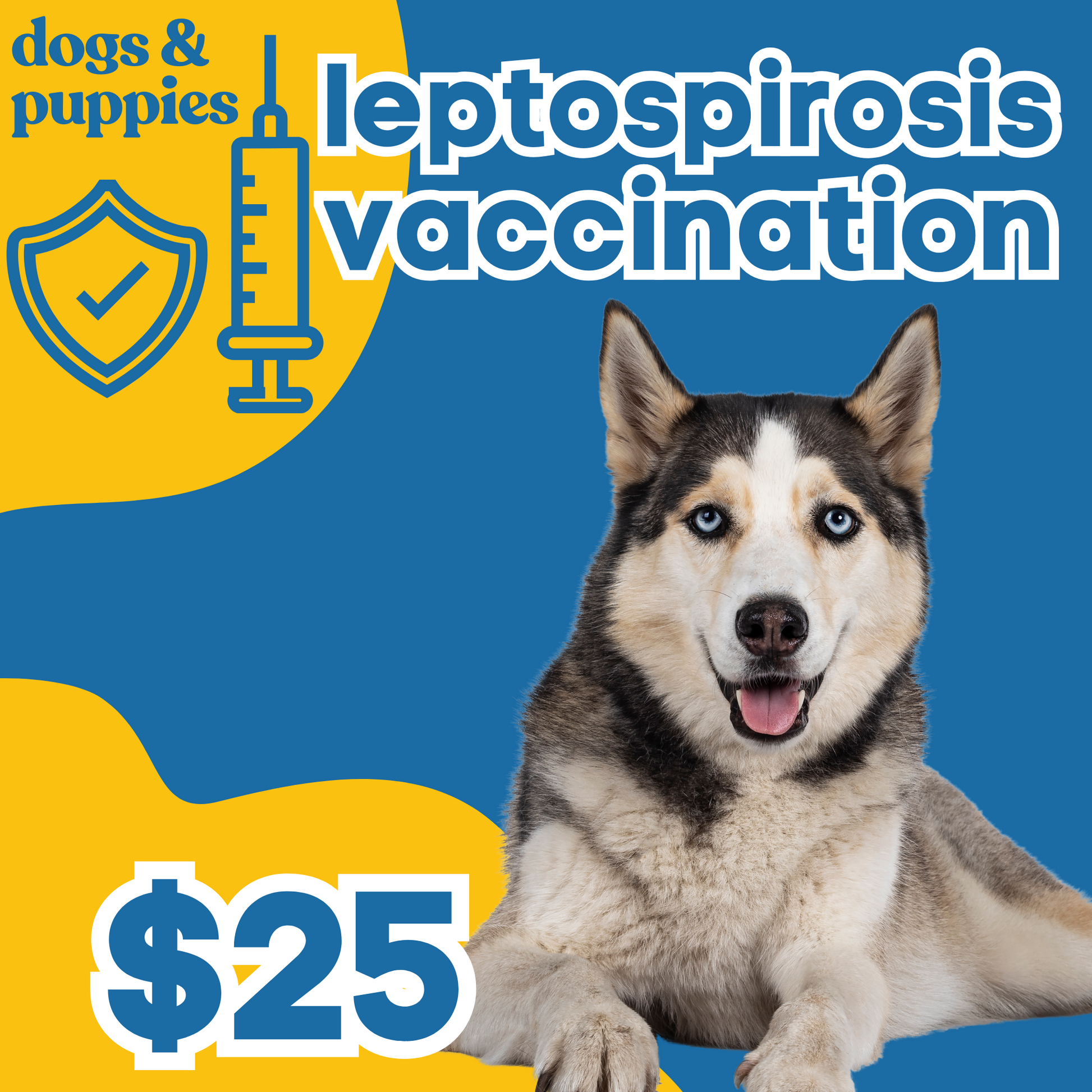 Leptospirosis vaccine online for dogs