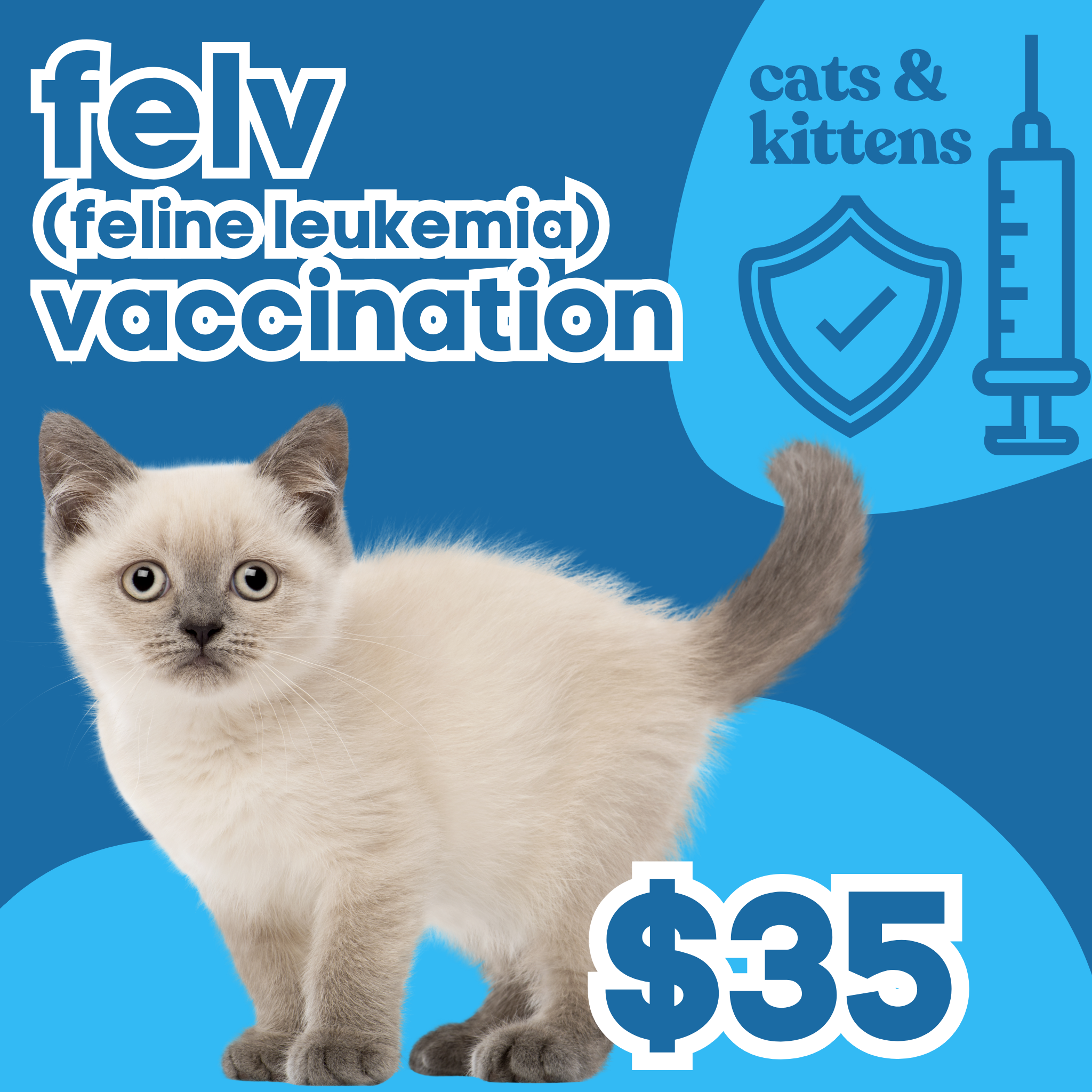 FeLV (Feline Leukemia) | Cats – pop-up pet vax