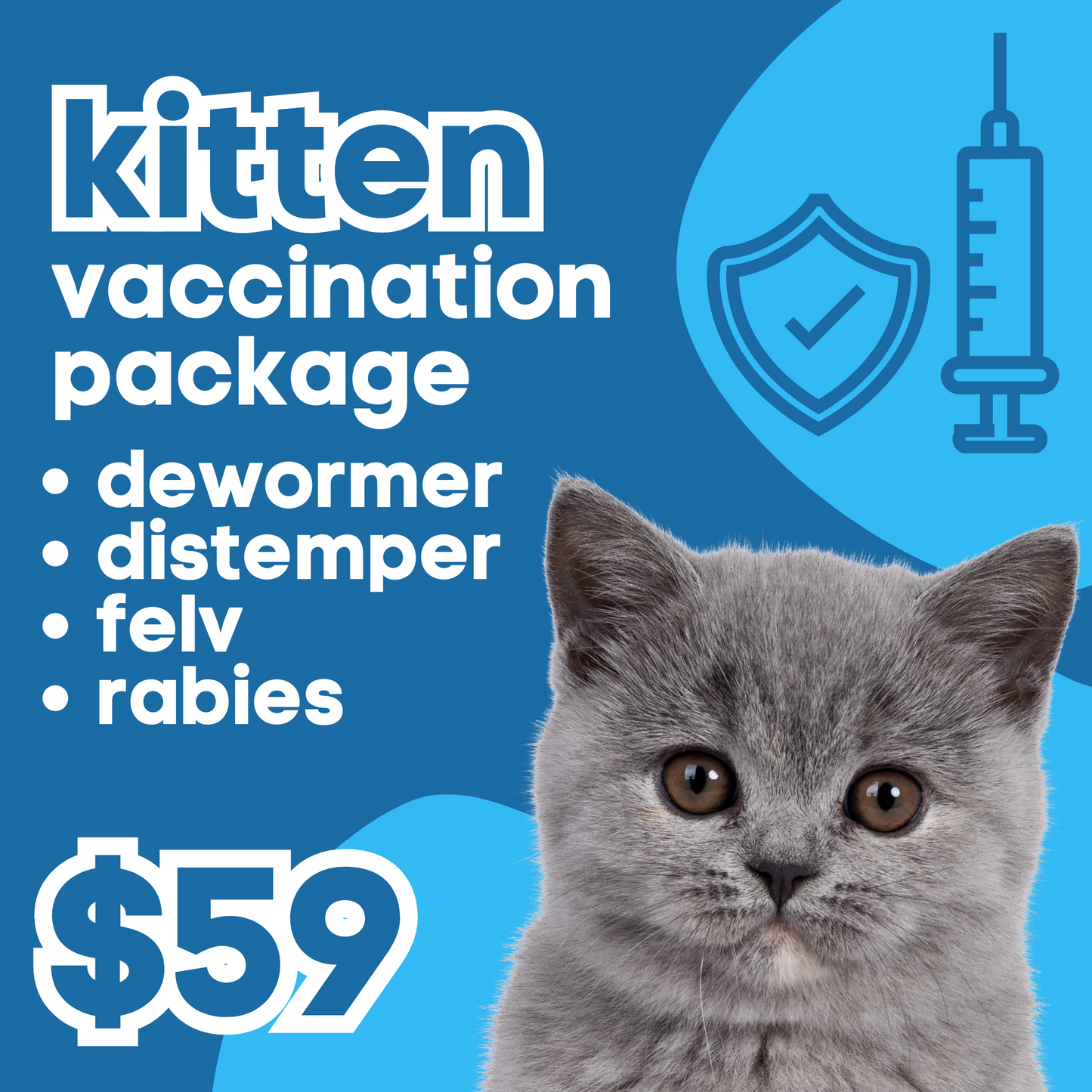 Kitten 1st best sale vaccine