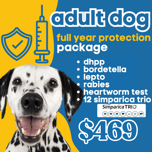 Adult Dog | FULL YEAR Protection Annual Package